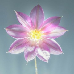 Aye Meto - Karma Phuntsho & Pem Deki.mp3