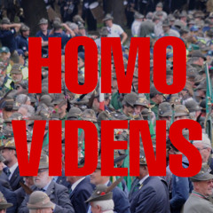 Homo videns