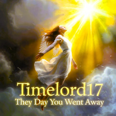 Timelord17 - The Day You Went Away