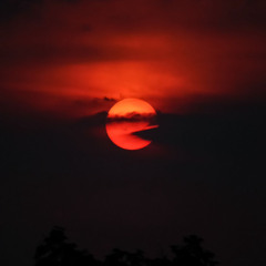 Runaway Love - Peso, Heezy, CJay Billions, TayMoneyMitch