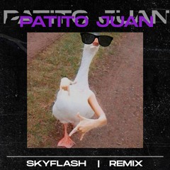 El Patito Juan (SkyFlash♥ Remix)