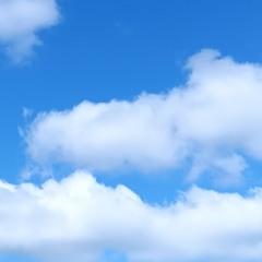 Anastasia Caulfiled / Blue / ReMix