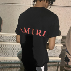 crashin feat primesteph