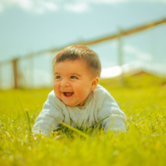 [#389] Before the Noise