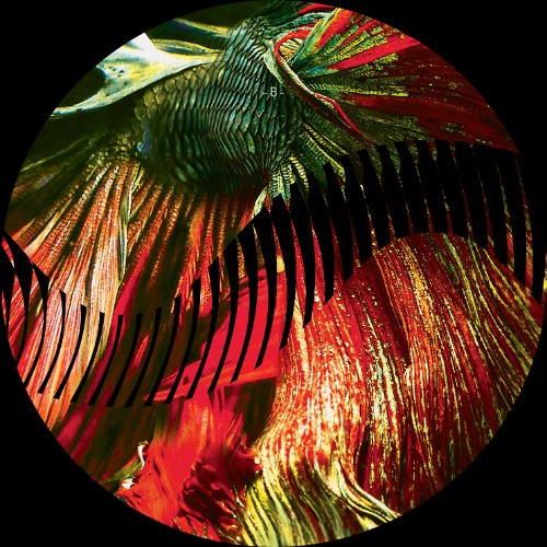 Premiere: A1 - Volen - Validation [RHZ006]