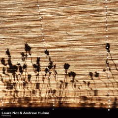 AMBCM002: Laura Not & Andrew Hulme - Flaneuring