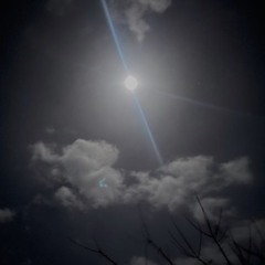 Pale Contrast (Free Download)