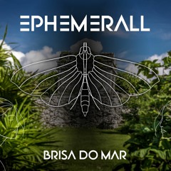 EPHEMERALL - BRISA DO MAR ( ORGANIC HOUSE 2024 ) LIVE AT SIZZLE , CEDARS LEBANON