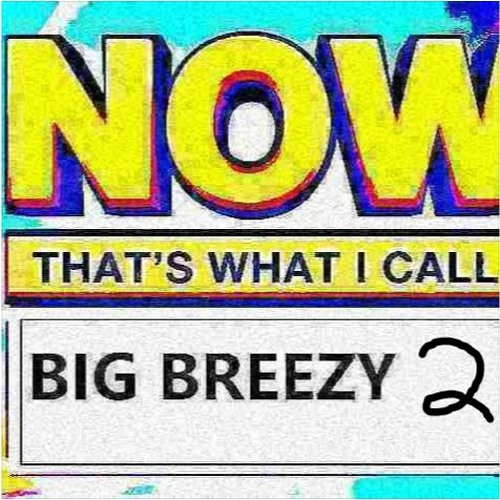 NOW THATS WHAT I CALL BIG BREEZY! VOL 2