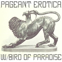 Pageant Erotica  w/ Bird Of Paradise