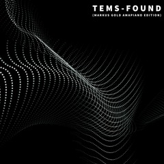 TEMS-FOUND(MARKUS GOLD AMAPIANO EDITION)