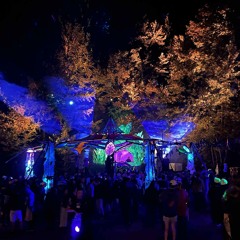 Live Set @ Timeless 2025