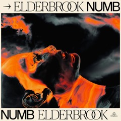 Elderbrook x Dayne S - Numb Reminiscence (BYAS Mashup)