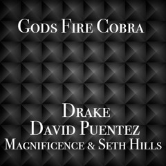 Gods Fire Cobra