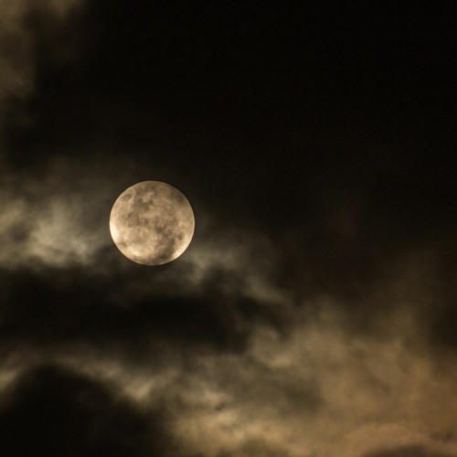 Stream Dark Side Of The Moon 13.02.2022 Mini séquence by Melodic Engine