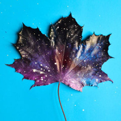 WHICH ONE BE CANADA?  // Prettyboy D-O  // EGGY STRANGE REMIX