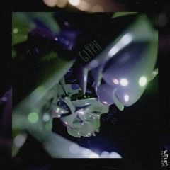 {Premiere} Glÿph - Flood (Weurd Records)