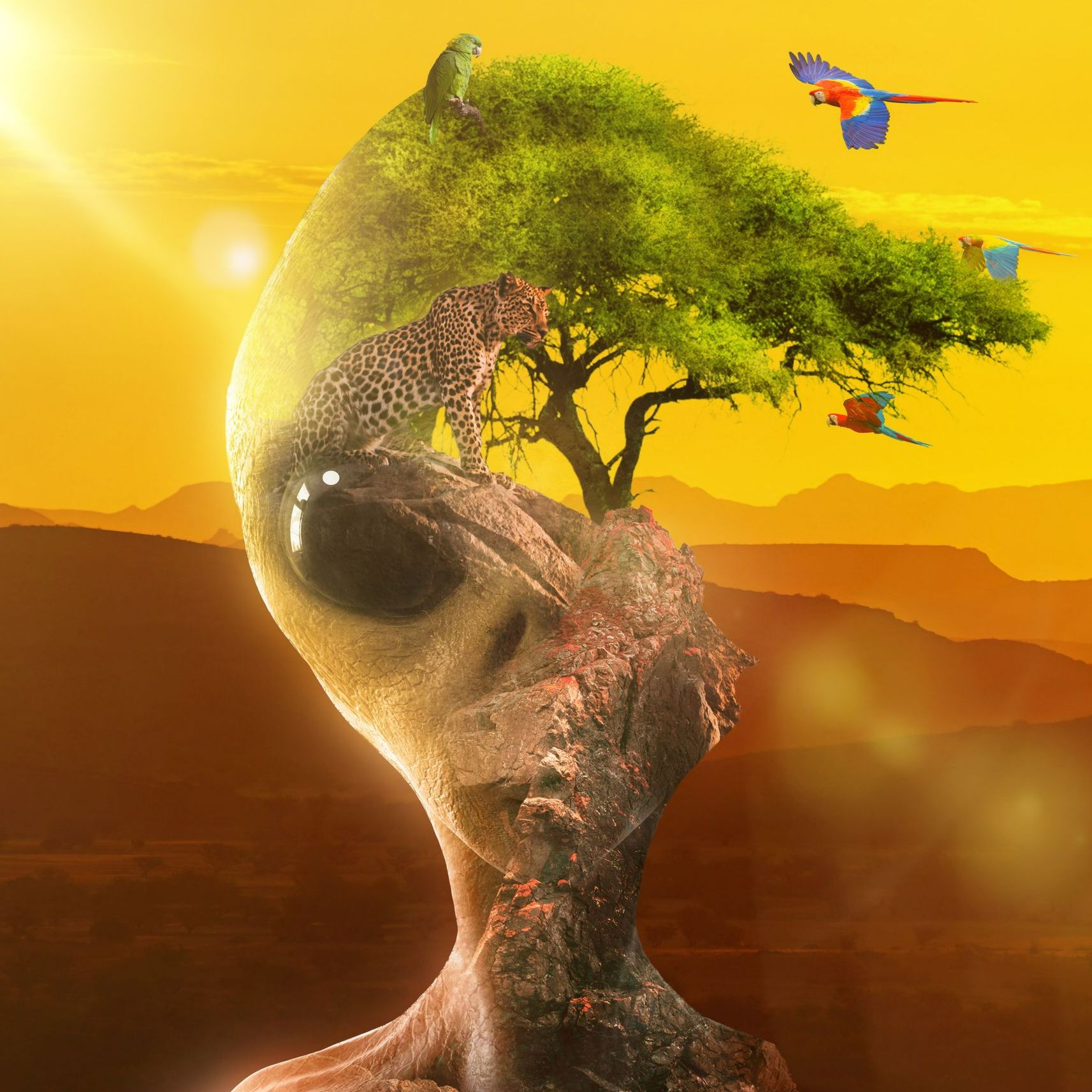 Download Space Motion Jaguar by Space Motion