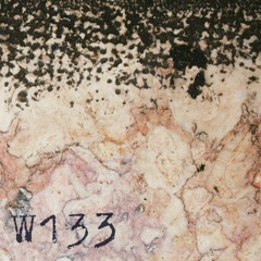 PREMIERE: Noti - Girls Just Wanna Have Fun [W133]