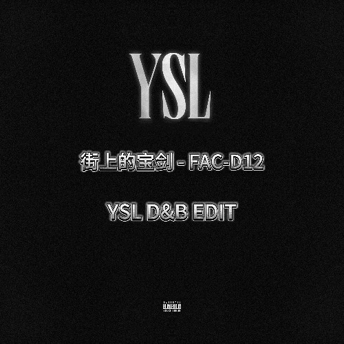 街上的宝剑 - Fac-D12 （YSL D&B Edit）
