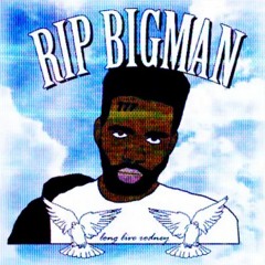 [RIP] BIGMAN - U SHOULDA STAYED DOWN [NULLISDEAD REMIXXX]