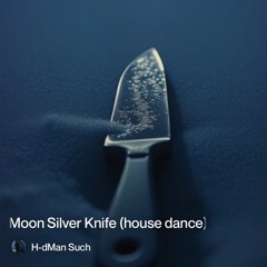 black-snow-dark-moon-silver-knife 4.