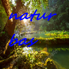 NATUR BAS