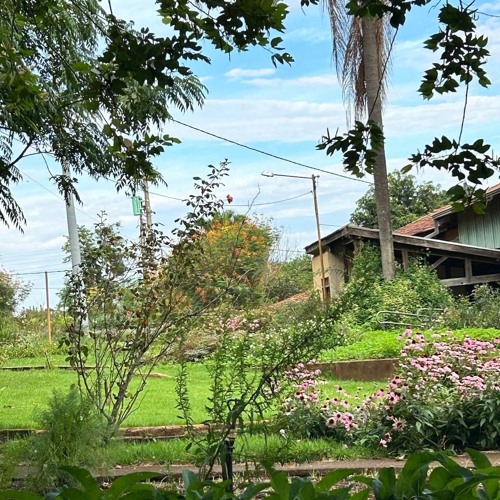 Stream 21.11.2024 Cap. XVII Sede Perfeitos Caractererísticas da