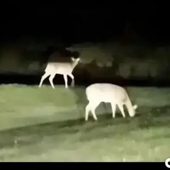 Dontmatter ( ft. mvs )