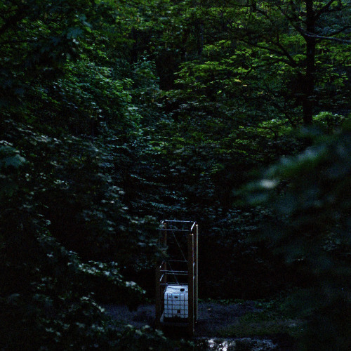 Dawn of Man, 1994 - NEKSUS (Demo)