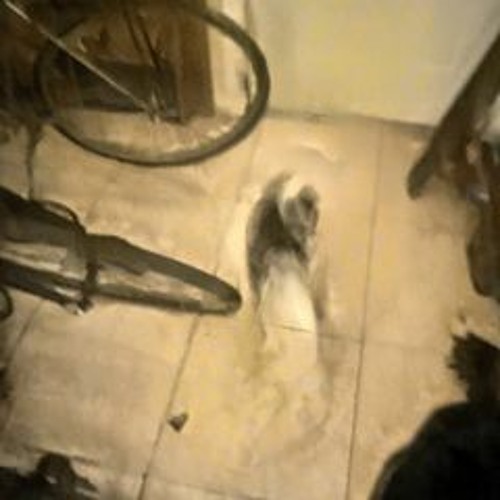 busted