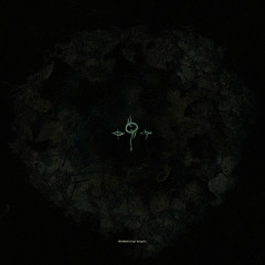 Noah Rosa - Metabolizing despair