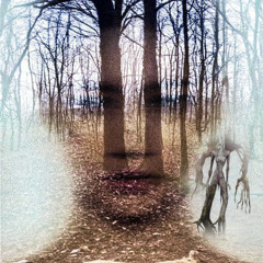 this is your brain on drugs prozac music prod why5 leak