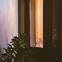 سورة الحجرات كاملة | تلاوة جديدة بصوت القارئ عبدالرحمن مسعد |