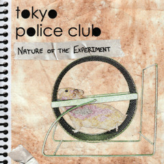 Nature of the Experiment