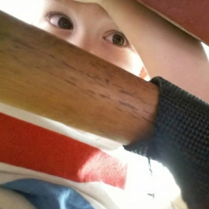 Album cover for: Behind the Slats