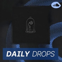 Daily Drops #204