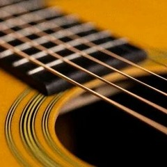 Steel Songs (tributes)