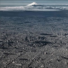 テリトリアル・ピッシングス