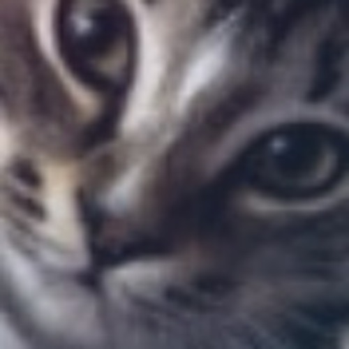 Toaster on the Printer.wav