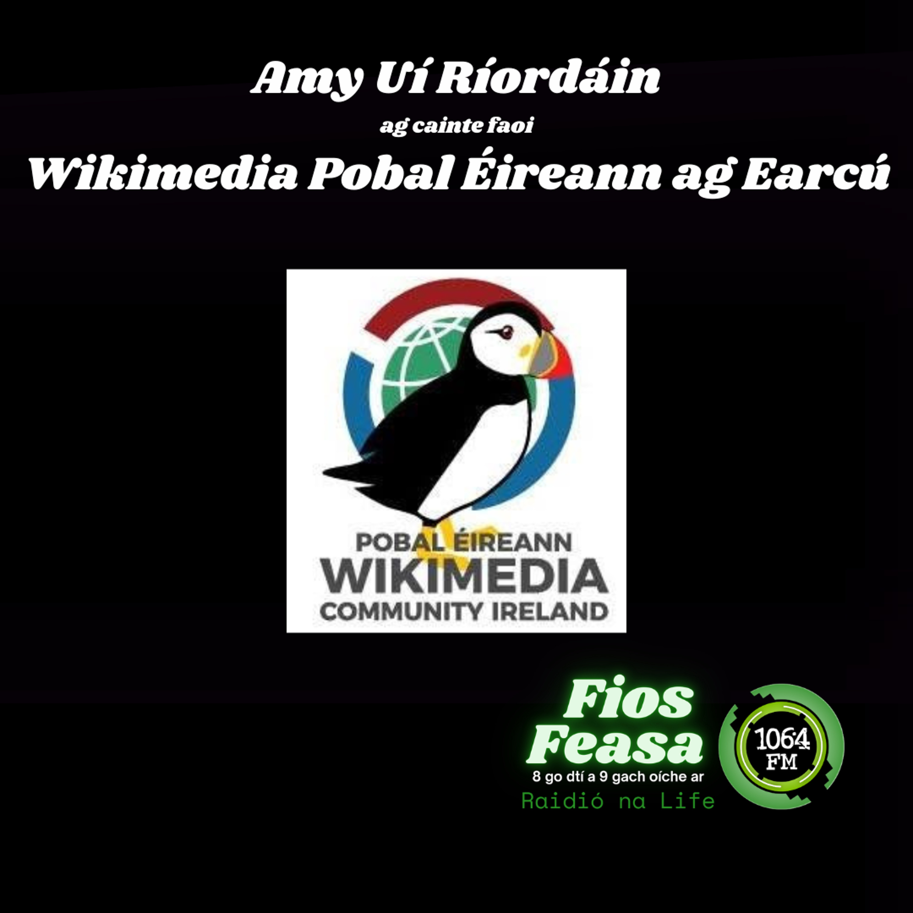 Amy Uí Riordáin - Pobal Éireann Wikimedia episode artwork