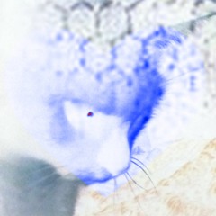 Buttered Bread ( Sofi Lane Remix )