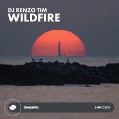 Dj Renzo Tim - Wildfire (Radio Edit)