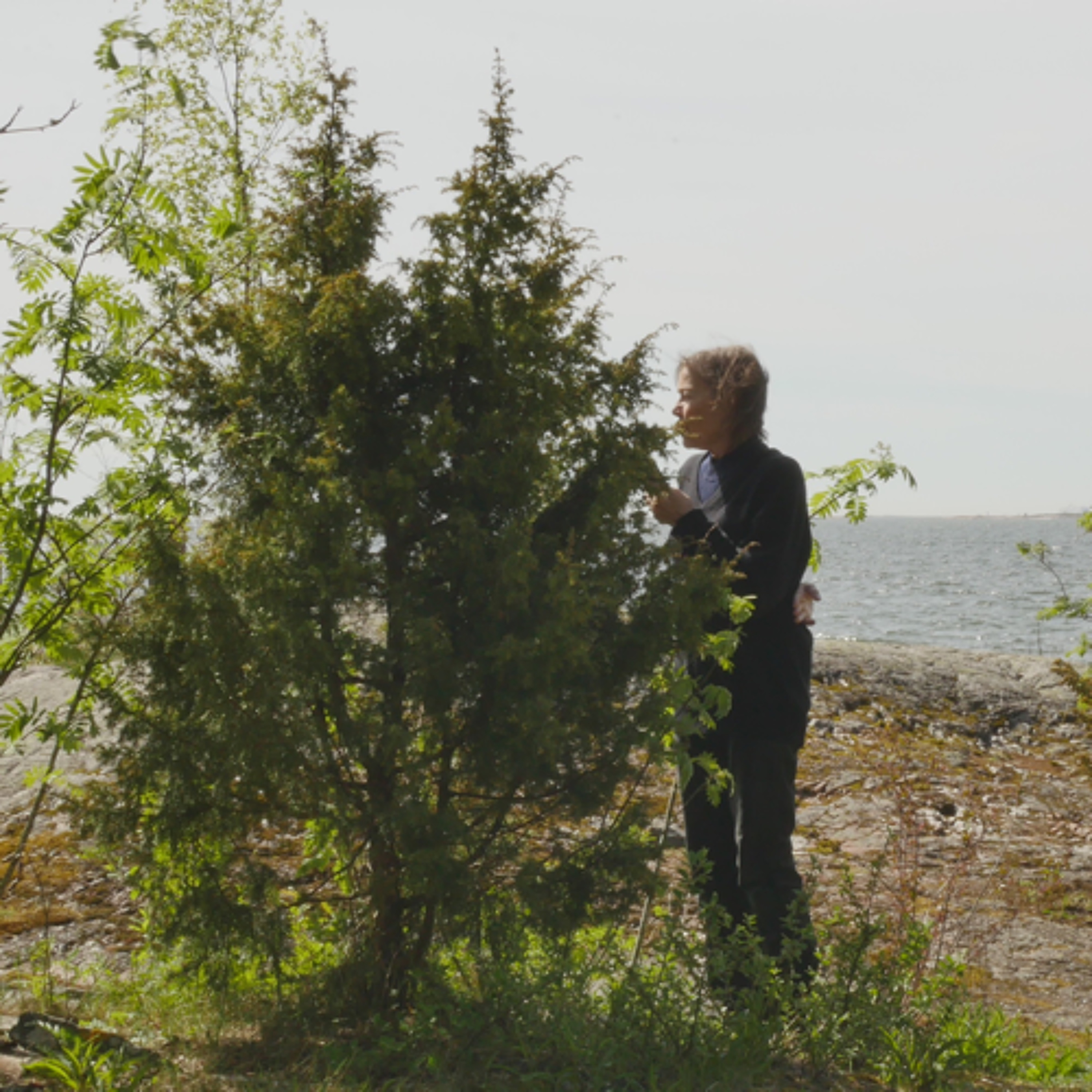 With the Juniper in Suomenlinna-5 episode artwork
