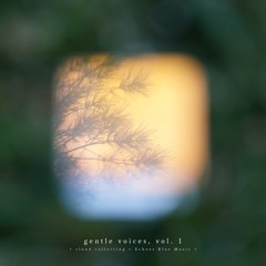 mist field & gentle showers