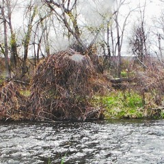 An empty room full of memories