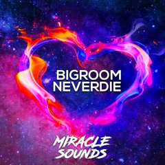 Miracle Sounds - Bigroom Neverdie Bundle