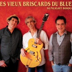 Blues With a Feeling / Les Vieux Briscards du Blues
