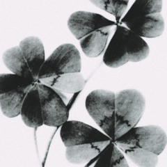 Beat BoomBap 'Lucky' 130bpm Prod.YOh