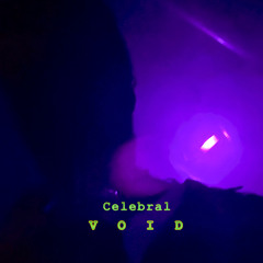 Sean Nata X Dave Rave - CELEBRAL VOID
